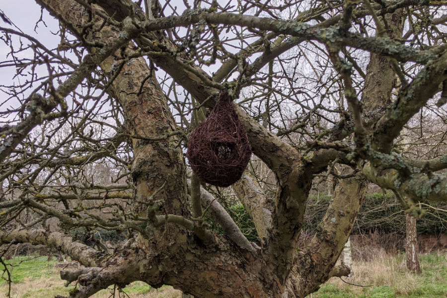 Nestbox1.jpg