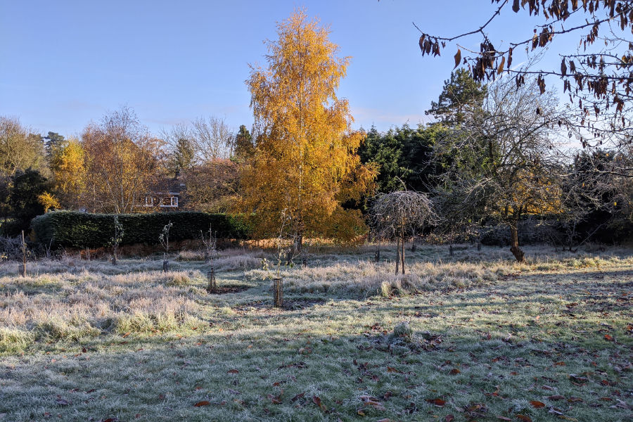 Frosty-Orchard1.jpg